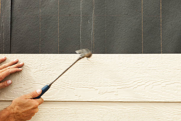 Best Historical Building Siding Restoration  in , NC